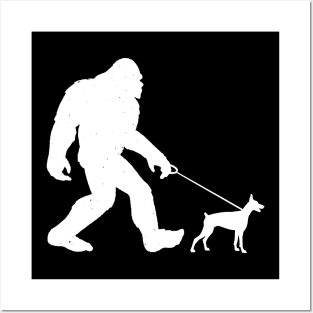 Funny Bigfoot Walking Doberman Pinscher Sasquatch Posters and Art